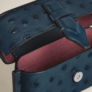 Nib Accessory Case with Strap in Ostrich-Embossed Leather