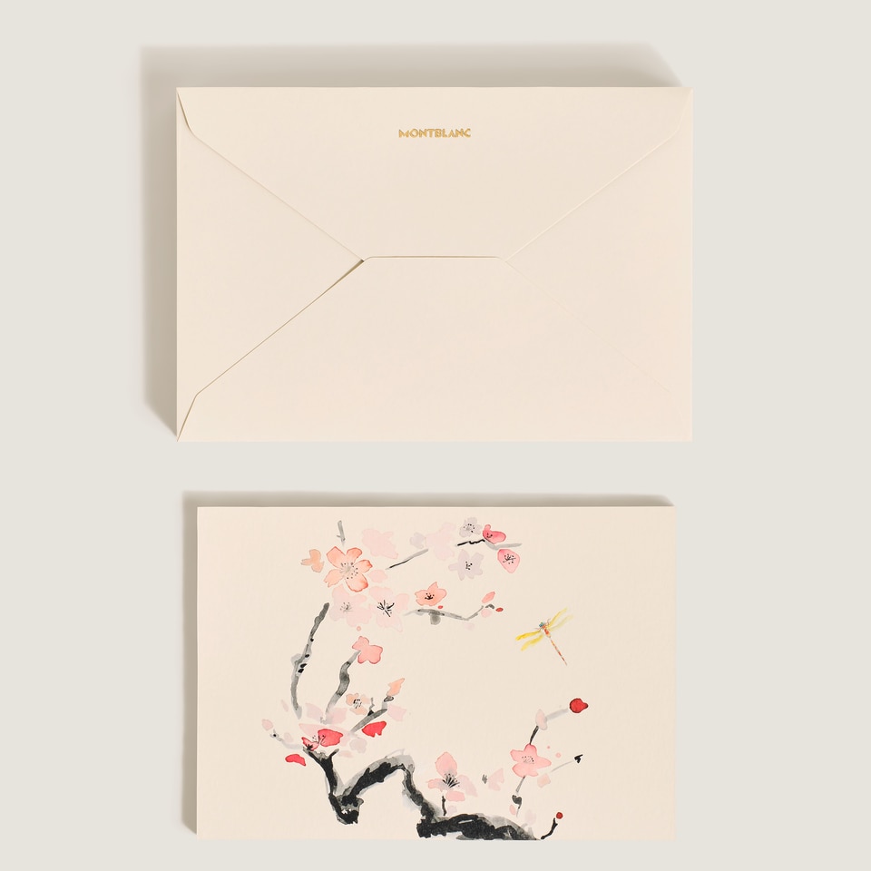 Cards and Envelopes - 3