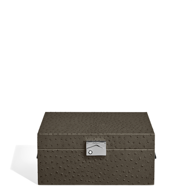 Watches Collector Box in Ostrich-Embossed Leather - 1