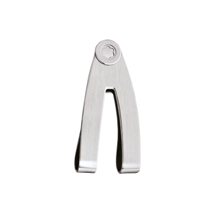 Money Clip in Steel