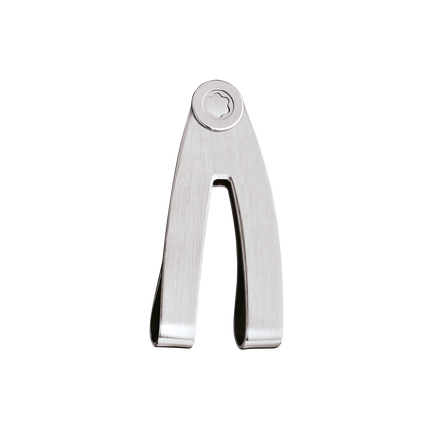 Money Clip in Steel