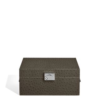 Watches Collector Box in Ostrich-Embossed Leather