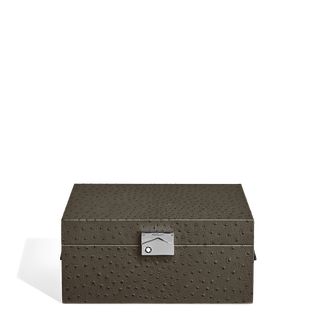 Writing Instruments Collector Box in Ostrich-Embossed Leather