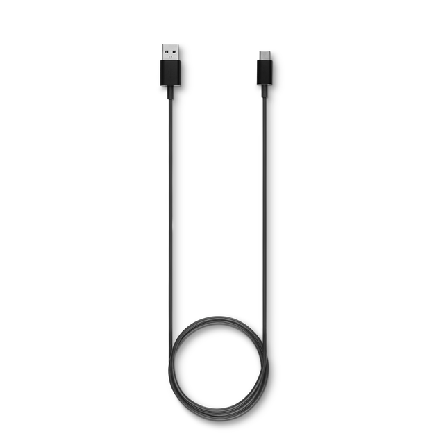 Black USB-C Cable - 1