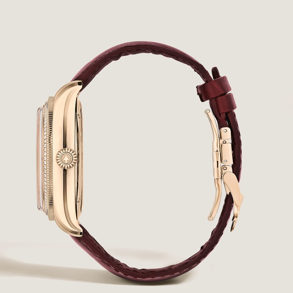 Minerva The Unveiled Secret Limited Edition - 18 Pieces - 2
