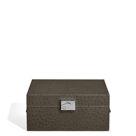Watches Collector Box in Ostrich-Embossed Leather
