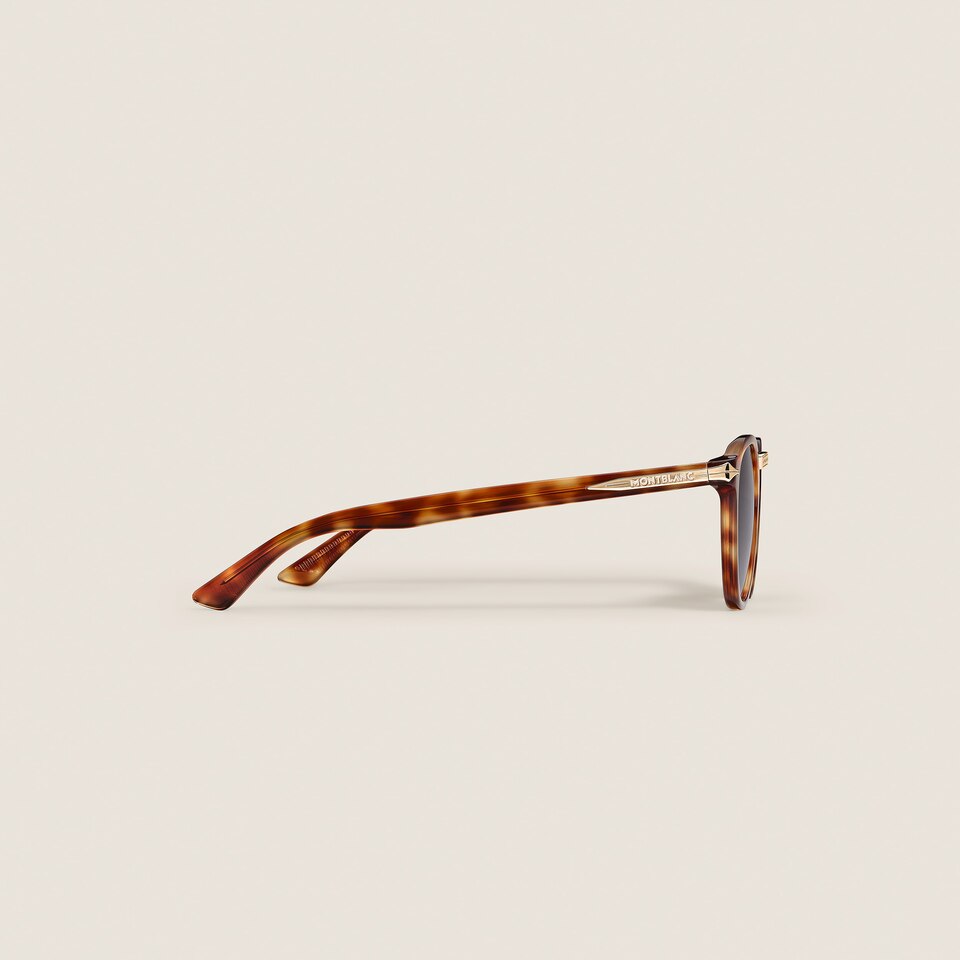 Round Sunglasses with Havana Acetate Frame - 2